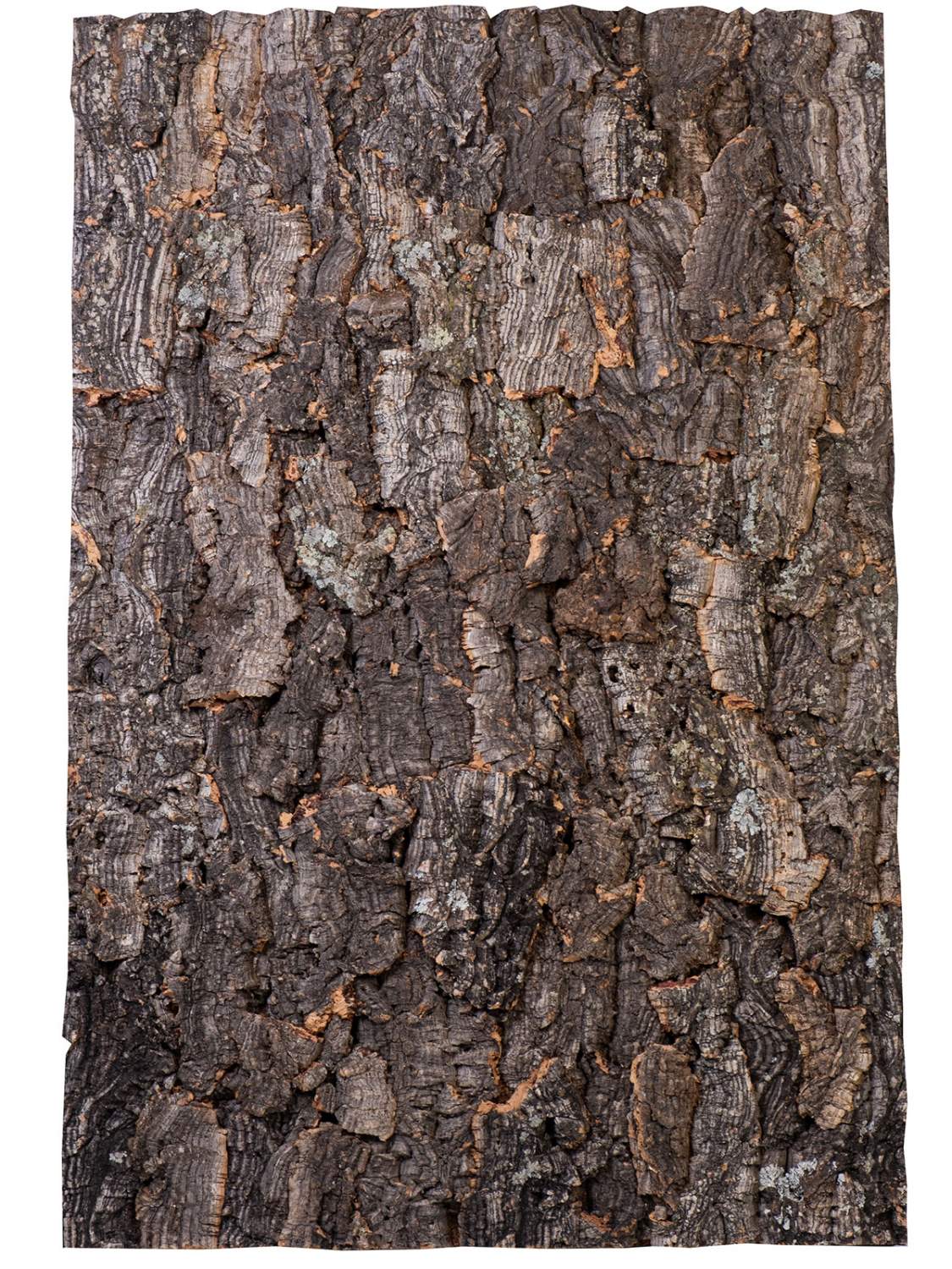 Купить натуральный фон из коры пробкового дерева LUCKY REPTILE Rough,  60х30см, цены на Мегамаркет | Артикул: 600006356681