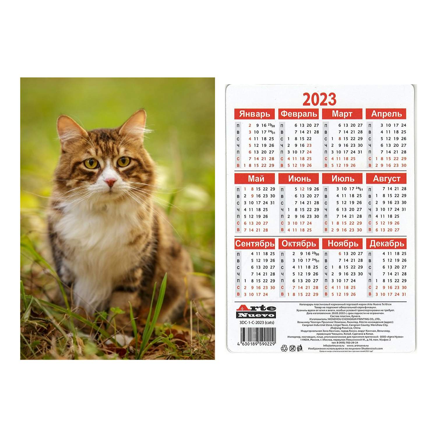 Купить календарь карманный Кошки 3D на 2023 год 7 х 10 см в ассортименте,  цены на Мегамаркет | Артикул: 100045360806