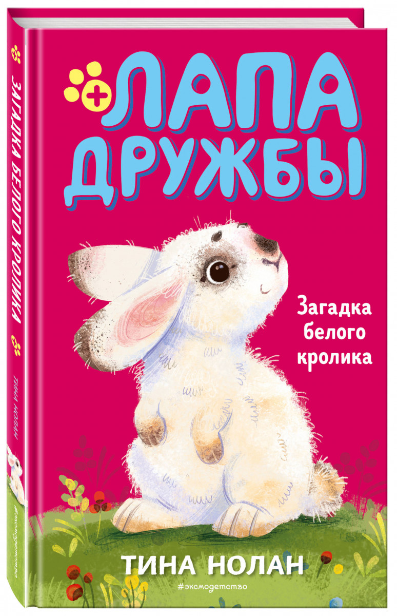 Книга Загадка белого кролика - купить детской художественной литературы в  интернет-магазинах, цены на Мегамаркет |