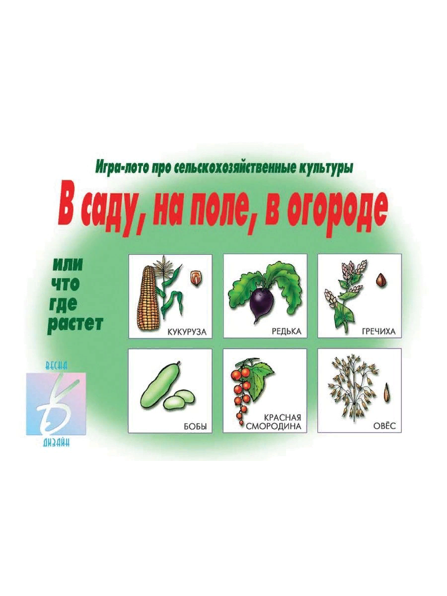 Купить игра лото Весна-дизайн В саду, на поле, в огороде, цены на  Мегамаркет | Артикул: 100048828108