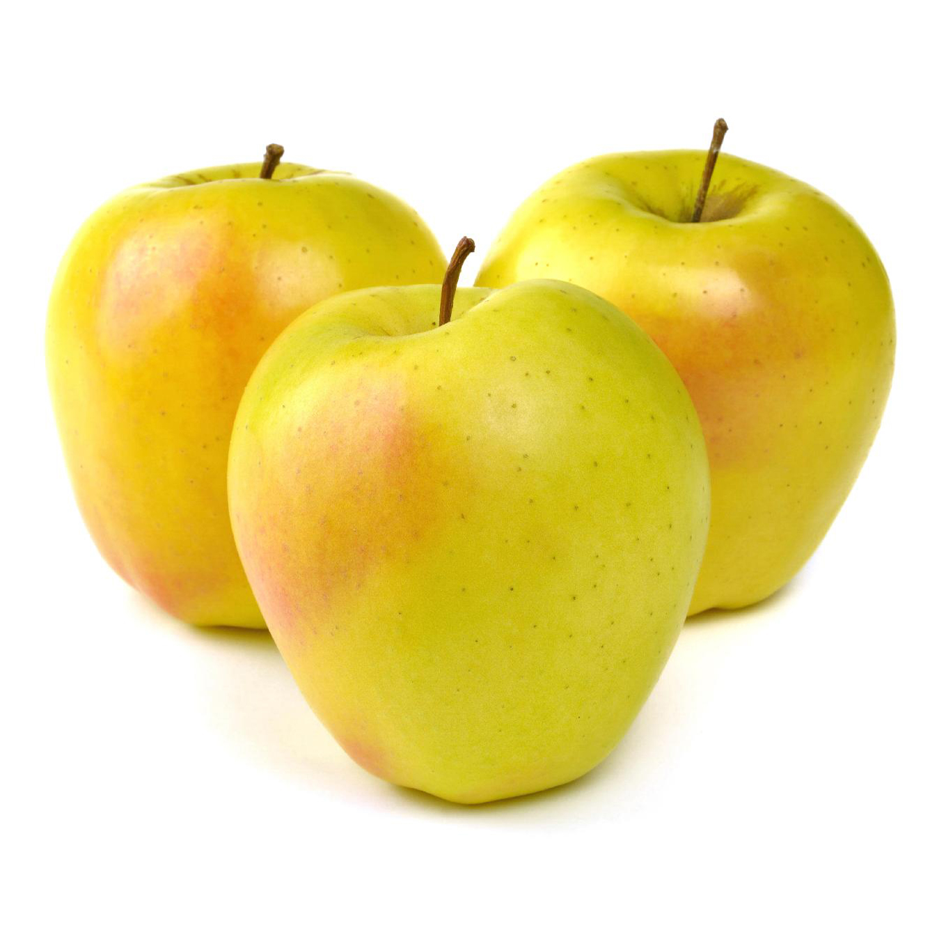 Шампанский ранет сорт яблок. Сорт яблок шампань. Яблоки шампань фото. Яблоки шампань. Яблоня ренет шампань.