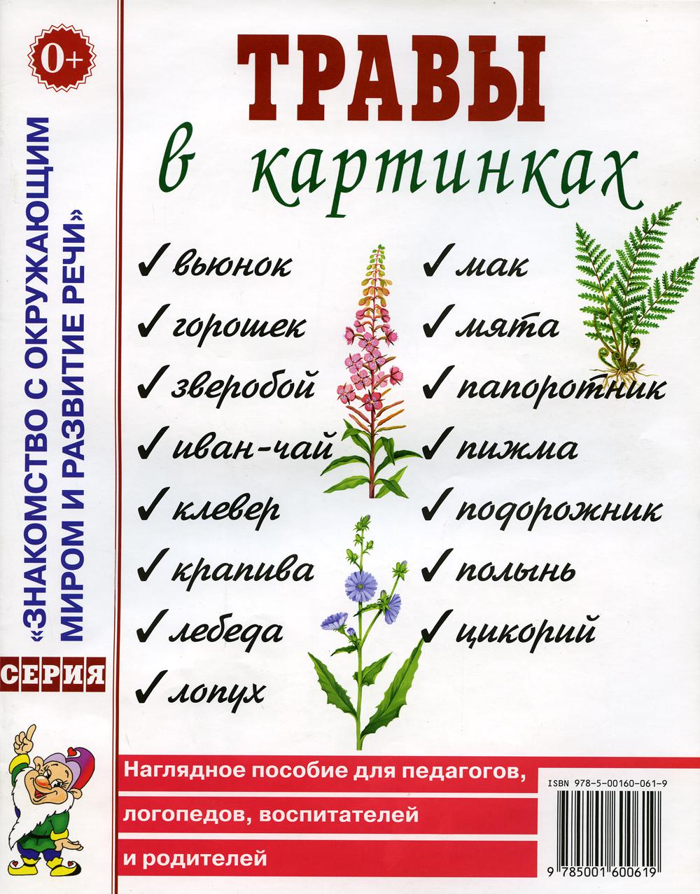 Травы в картинках – купить в Москве, цены в интернет-магазинах на Мегамаркет