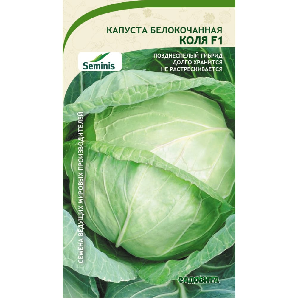 Семена капуста белокочанная Садовита Коля F1 20005120 1 уп. -  характеристики и описание на Мегамаркет | 100047435918