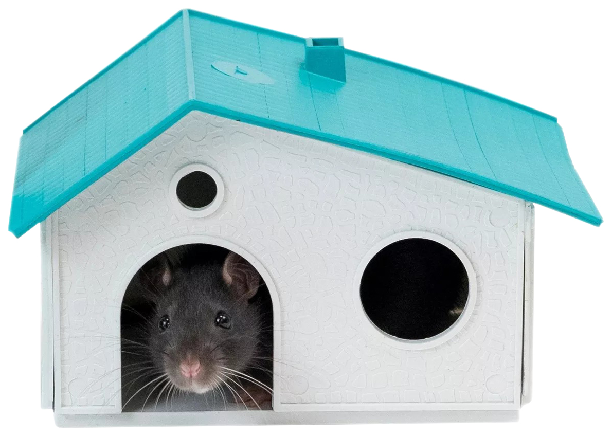 Домик для крыс сборный, цены, купить в интернет-магазине Четыре Лапы с быстрой доставкой