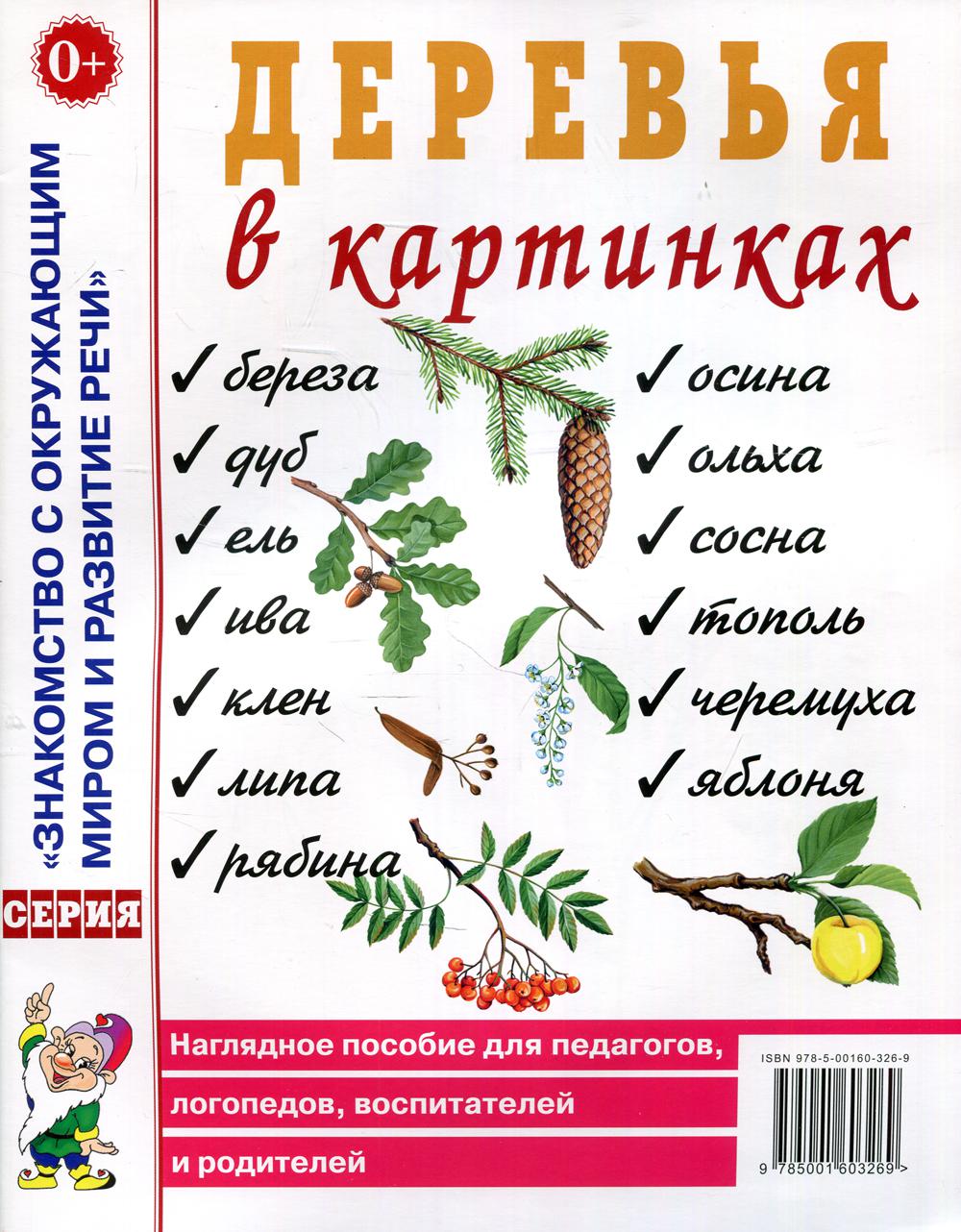 Деревья в картинках - купить подготовки к школе в интернет-магазинах, цены  на Мегамаркет | 30710