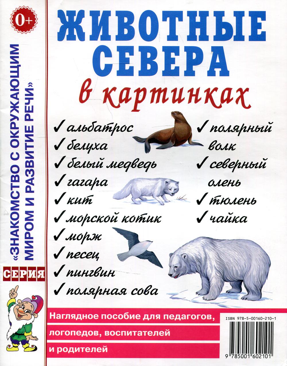 Животные севера в картинках – купить в Москве, цены в интернет-магазинах на  Мегамаркет