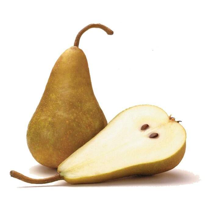 F pears project