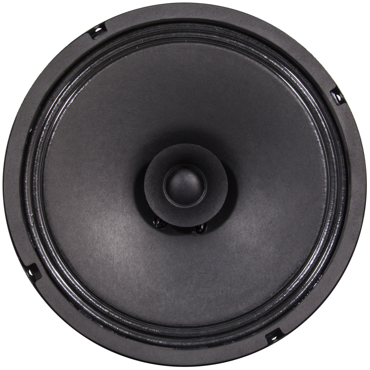 Speaker ads 12 discount inch full range