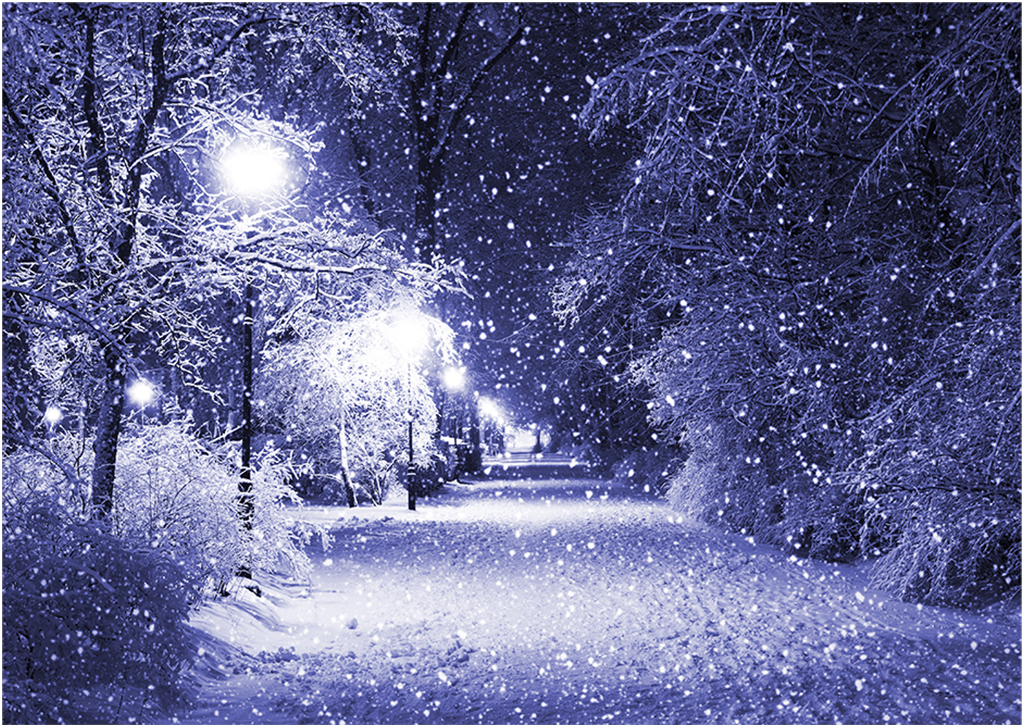 Snowy time. Snowy time