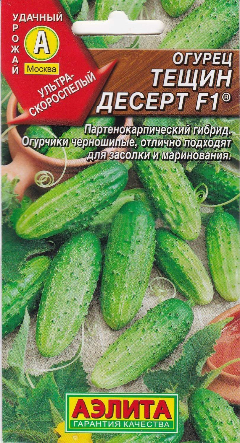 Черношипые сорта огурцов. Черношипые сорта огурцов