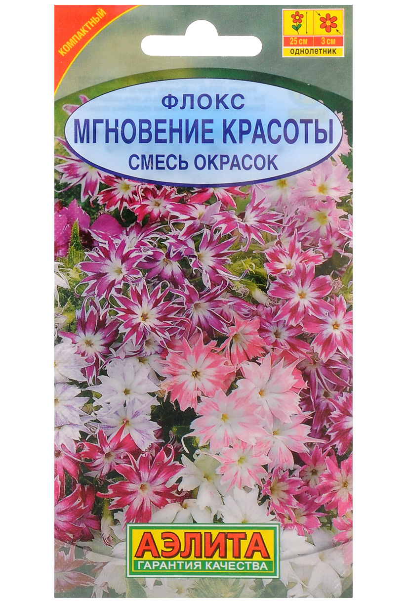 Флоксы Однолетние Купить Семена