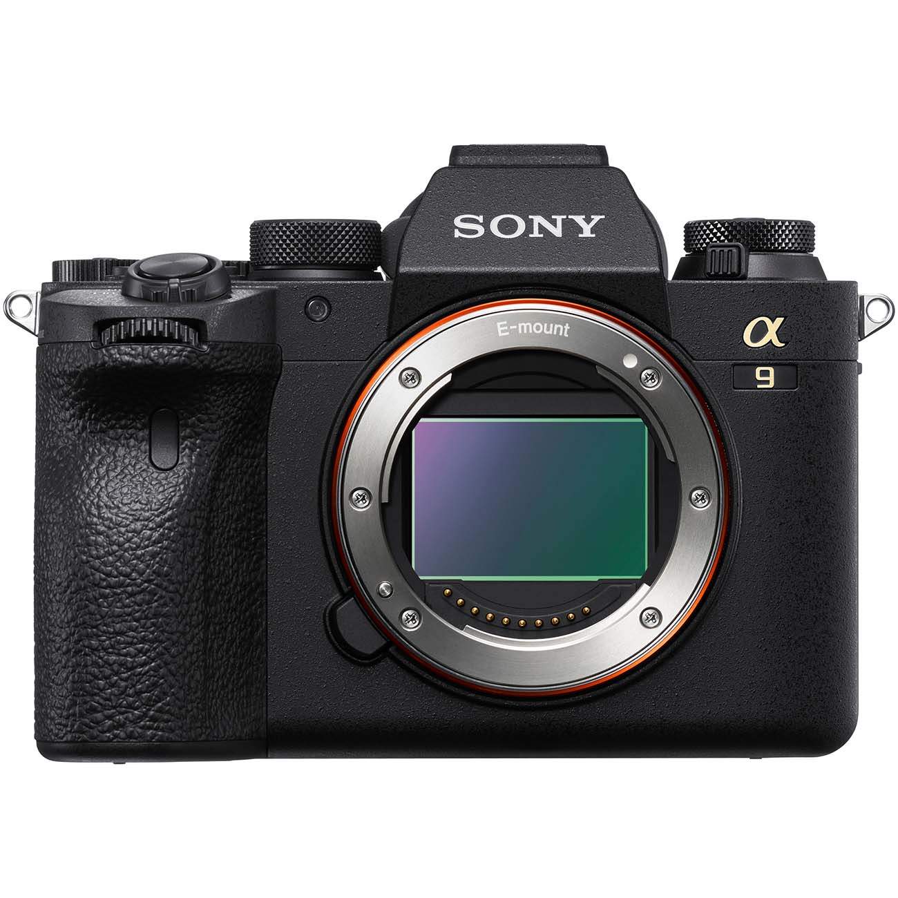 Sony body