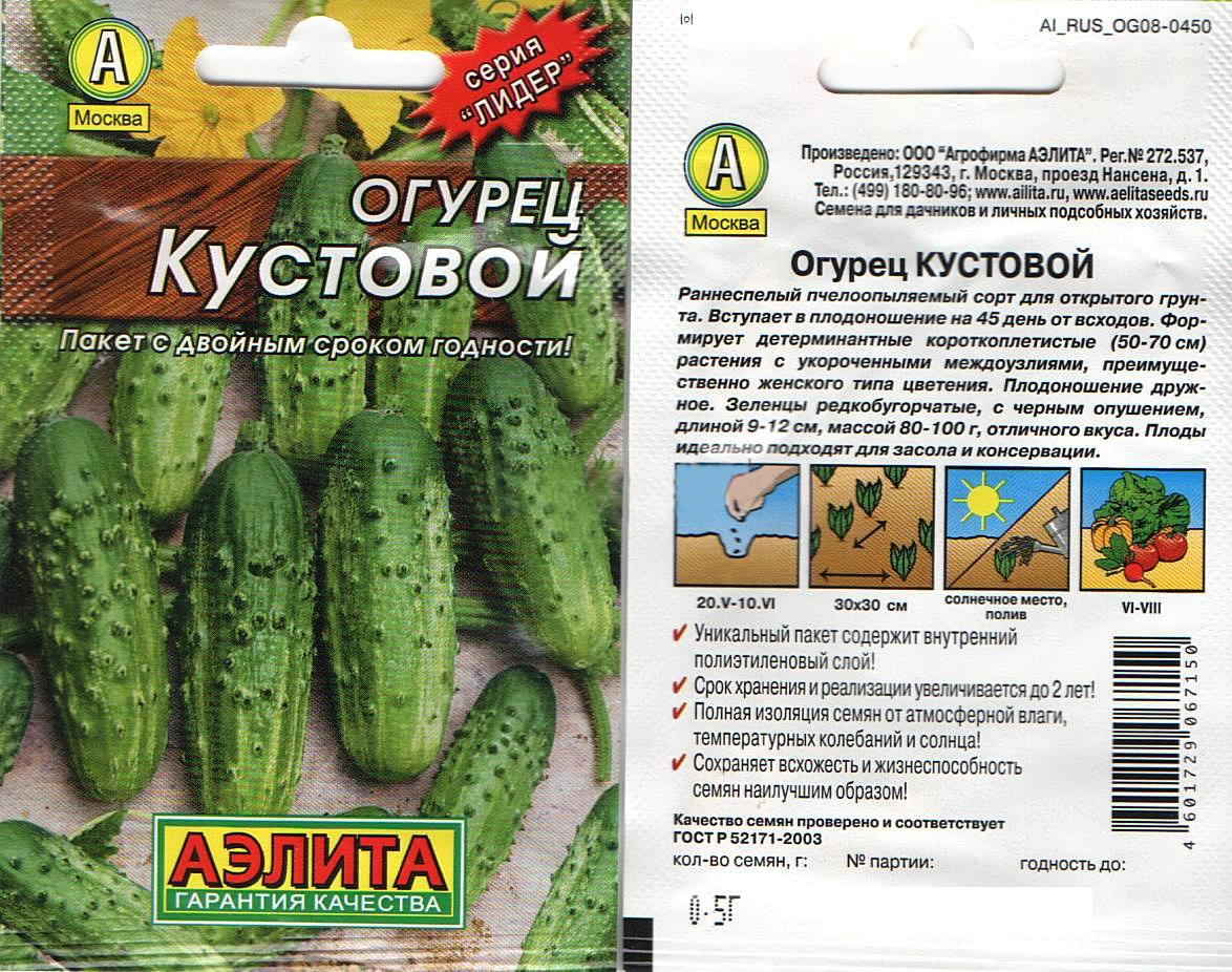 Какие огурцы кустовые