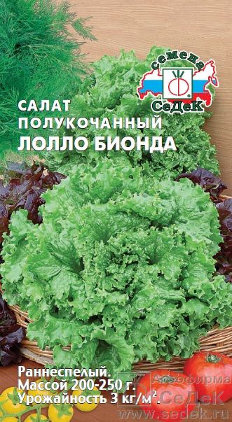 Выращиваем салат