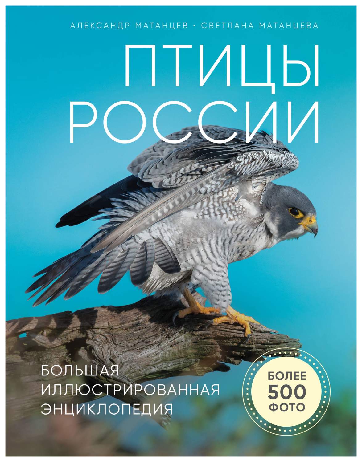 Птицы России. Большая иллюстрированная энциклопедия - купить детской  энциклопедии в интернет-магазинах, цены на Мегамаркет |