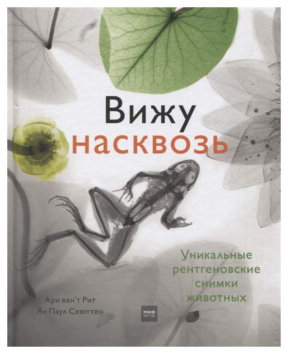 15 рентгеновских снимков, которые на раз-два раскроют секреты буквально всего на свете