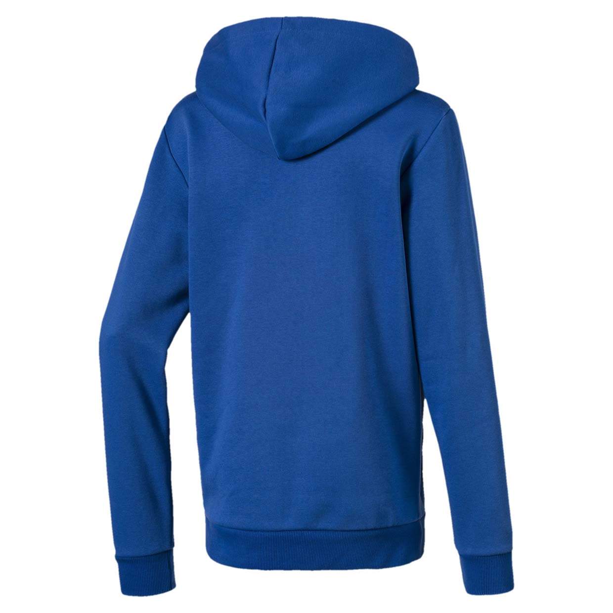 Puma Amplified Hoody tr