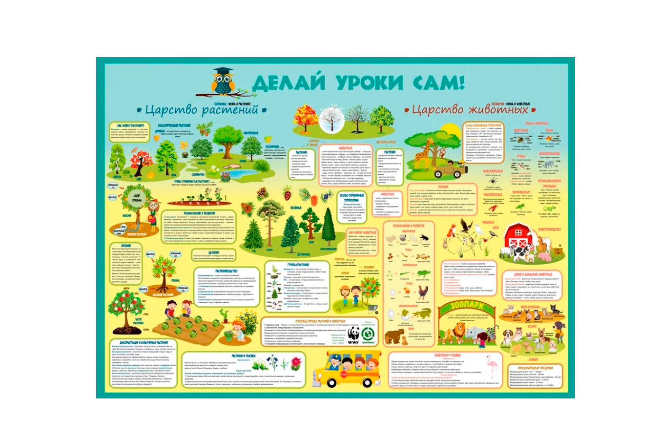 Плакат «Делай уроки сам» 1-2 класс, 3-4 класс. Окружающий мир – купить в  Москве, цены в интернет-магазинах на Мегамаркет