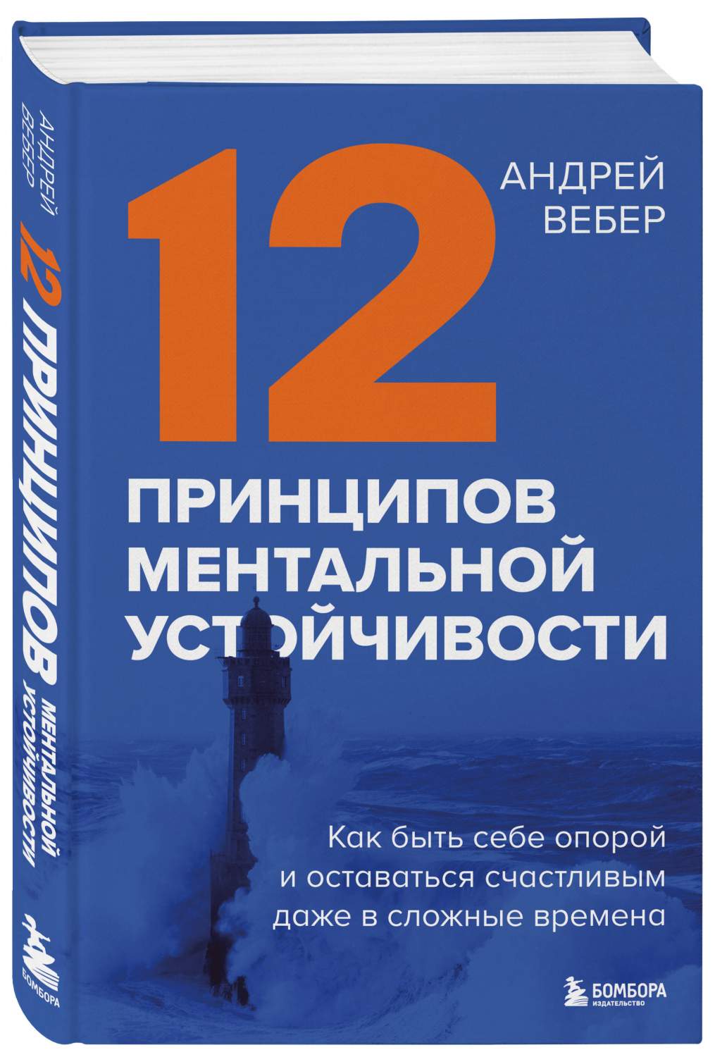 12 принципов ментальной устойчивости – купить в Москве, цены в  интернет-магазинах на Мегамаркет