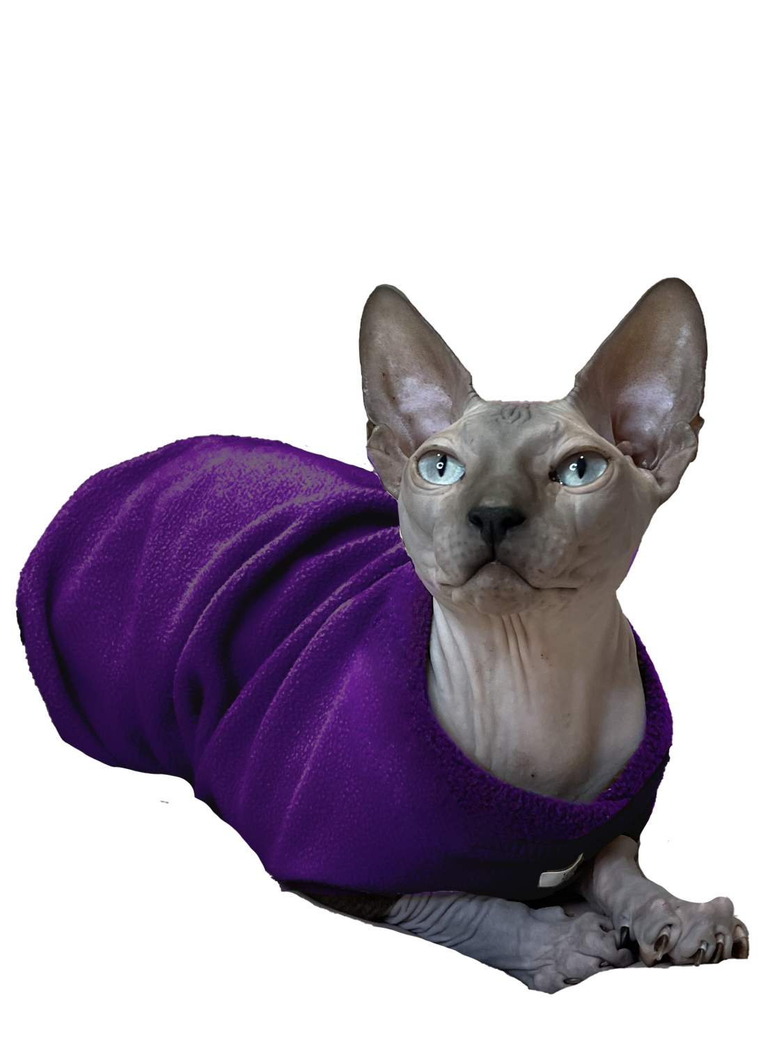 Купить флисовый жилет для кошек Монморанси, фиолетовый, XL, цены на  Мегамаркет | Артикул: 600010066440