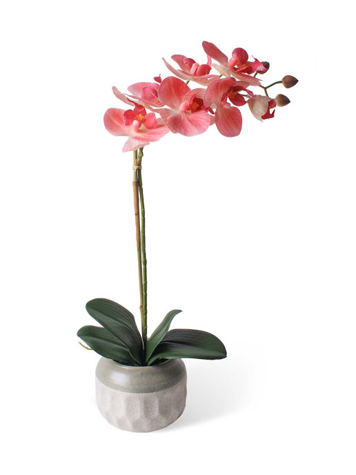 Живые и искусственные орхидеи в стеклянных вазах