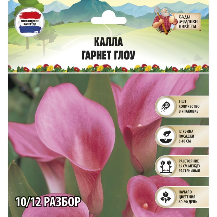 Купить Луковицы Каллы В Интернет Магазине Недорого