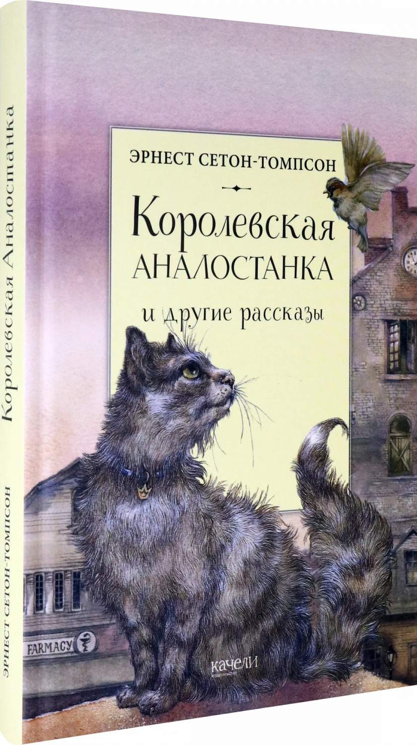 Королевская аналостанка урок 5 класс. Королевская аналостанка урок 5 класс. Королевская аналостанка книга. Книга сетон-томпсон королевская аналостанка. (5 иллюстраций к произведению королевская аналостанка.