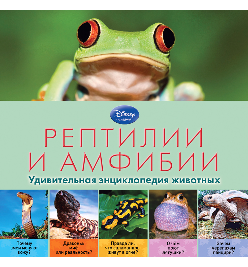 Энциклопедия РЕПТИЛИИ и амфибии – купить в Москве, цены в  интернет-магазинах на Мегамаркет
