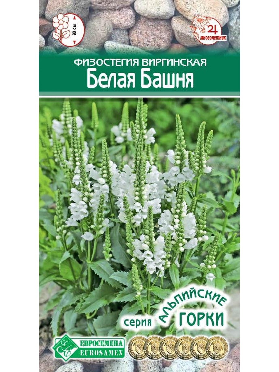 Семена физостегия Евросемена Белая башня 27419 1 уп. - отзывы покупателей  на Мегамаркет | 100031968393