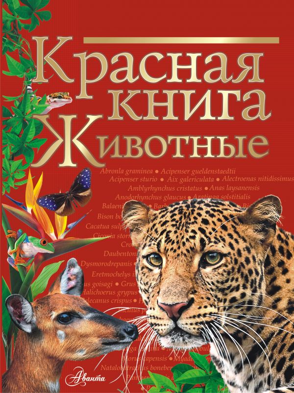 Создание книги Гайды Лагздынь «Моя книга»