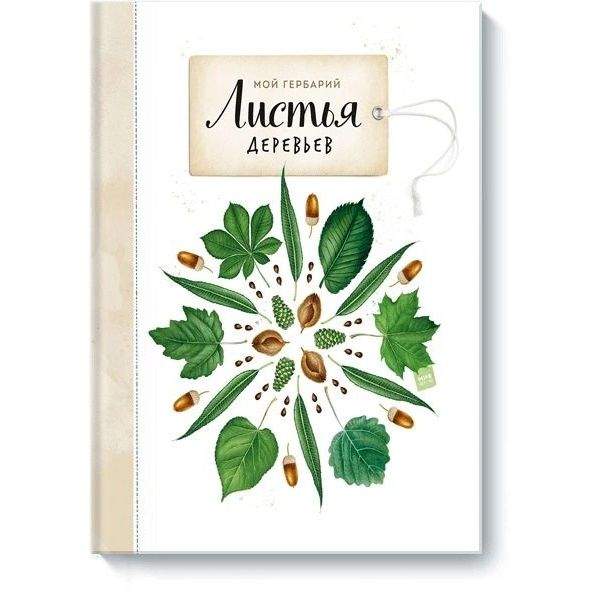 Книга Мой гербарий. Листья деревьев - купить детской энциклопедии в  интернет-магазинах, цены на Мегамаркет |