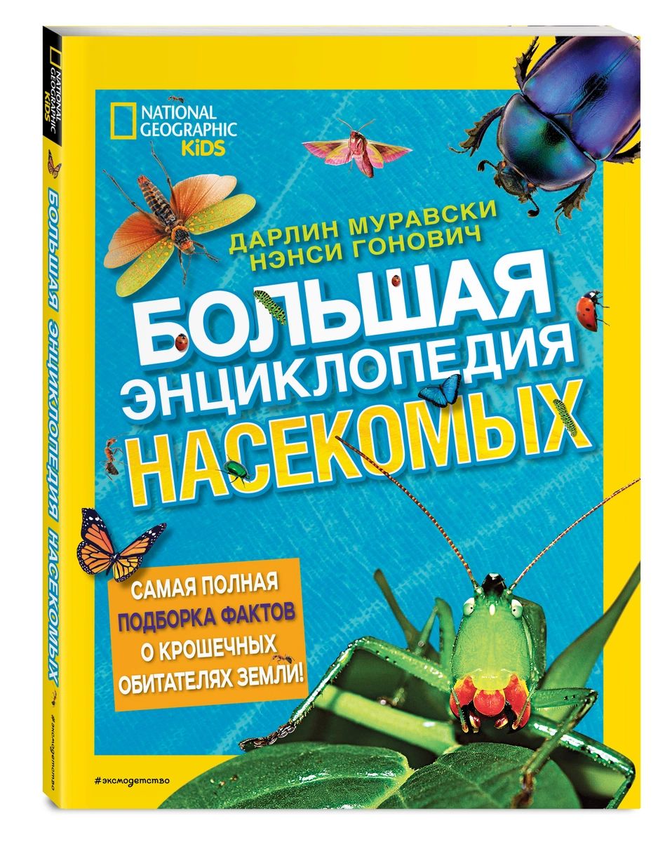 Большая энциклопедия насекомых - купить детской энциклопедии в  интернет-магазинах, цены на Мегамаркет |