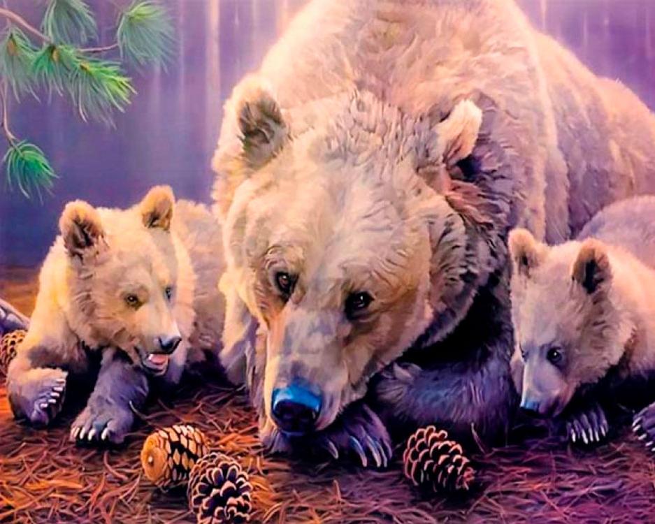 Купить картина по номерам ВанГогВоМне Три медведя, 40x50, цены на  Мегамаркет | Артикул: 600001086114