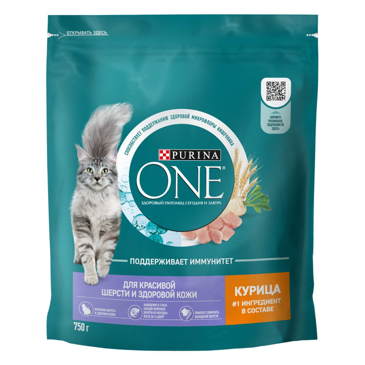 Сухой корм для кошек Purina ONE для здоровья кожи и шерсти с курицей и  злаками, 750 г - отзывы покупателей на маркетплейсе Мегамаркет | Артикул  товара:100023051979