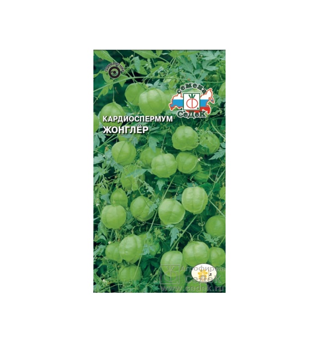Семена кардиоспермум СеДеК Жонглер 54079 1 уп. - характеристики и описание на Мегамаркет