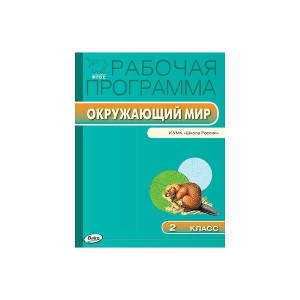 Рабочая программа плешаков 4 класс фгос. Умк учусь учиться петерсон. Рабочая программа плешаков 4 класс фгос. Рабочая программа по окружающему миру 4 класс. Рабочая программа плешаков 4 класс фгос.