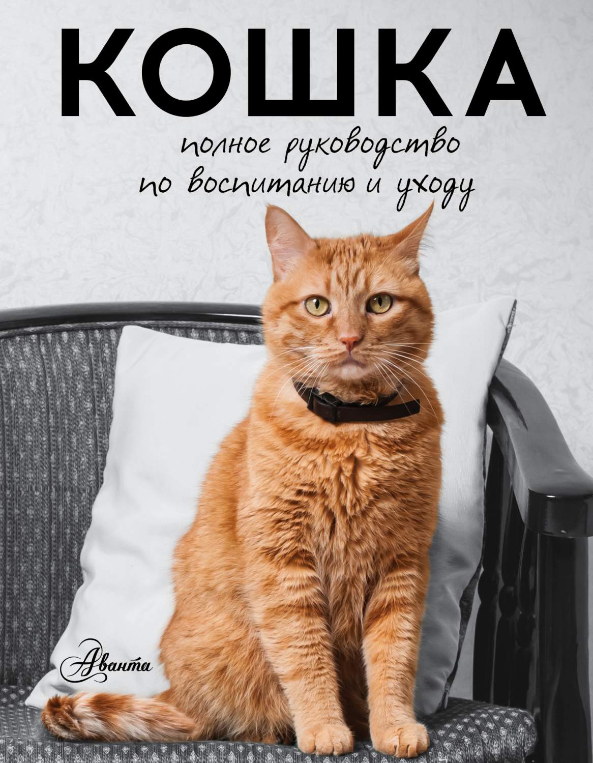 Кошка, полное Руководство по Воспитанию и Уходу - купить книги о животных в  интернет-магазинах, цены на Мегамаркет | 153931