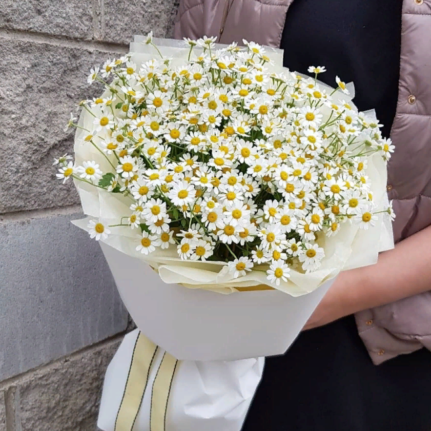 Мини букет с ромашками. Букет из маленьких ромашек. Танацетум микс. Букет из маленьких ромашек. Букет "матрикария".