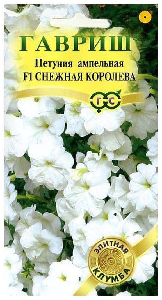 Петуния снежная королева фото