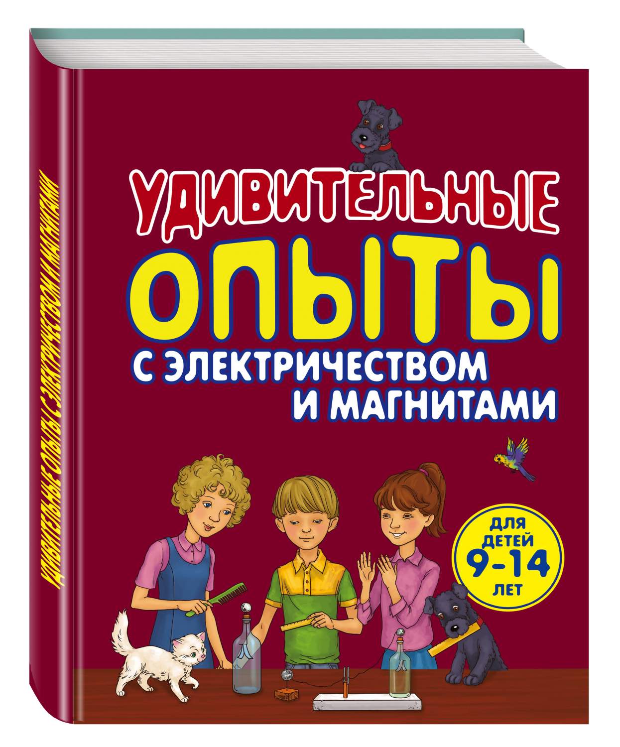 Удивительные Опыты С Электричеством и Магнитами – купить в Москве, цены в  интернет-магазинах на Мегамаркет