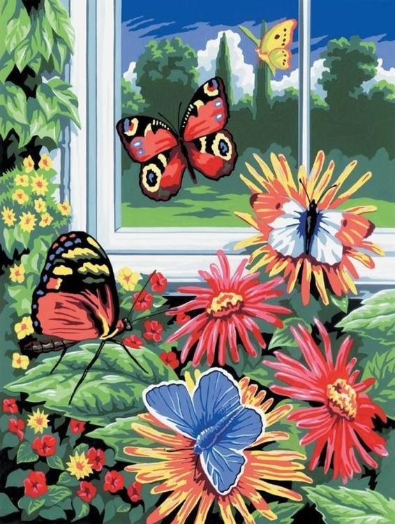Цветной / Картина по номерам «Птички, бабочки, цветы»