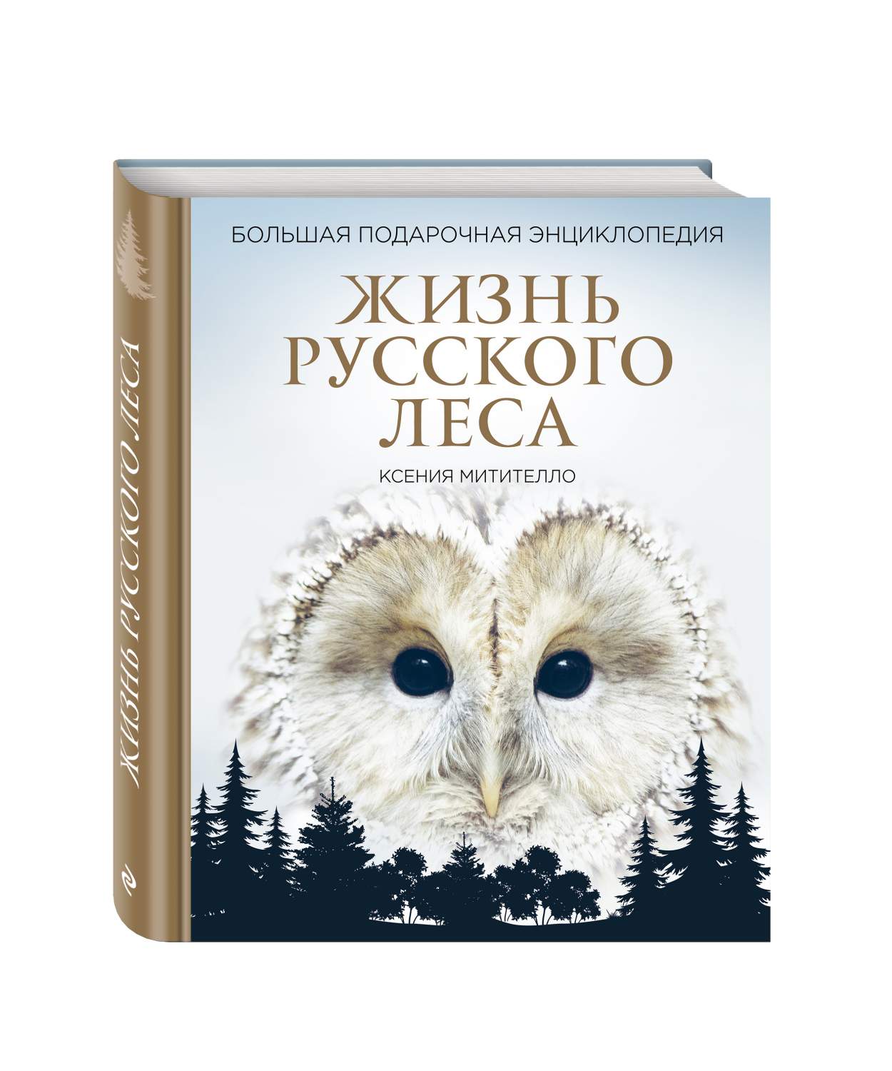 Жизнь Русского леса, Большая подарочная Энциклопедия (Сова) – купить в  Москве, цены в интернет-магазинах на Мегамаркет