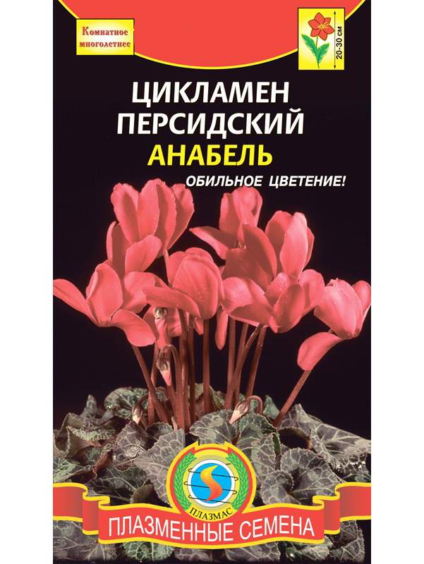 персидский цикламен семена персидский цикламен семена