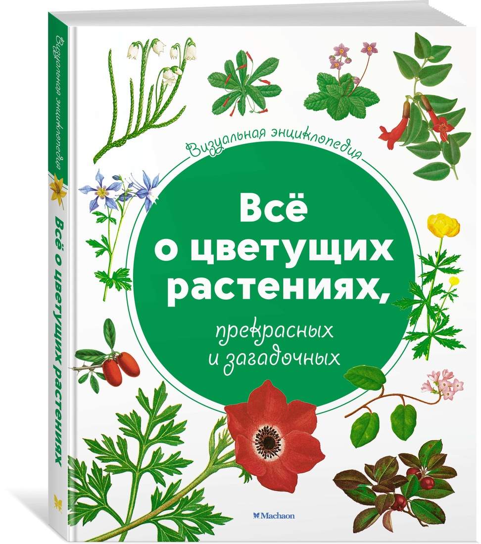 Всё о Цветущих Растениях, прекрасных и Загадочных, Визуальная Энциклопедия  – купить в Москве, цены в интернет-магазинах на Мегамаркет