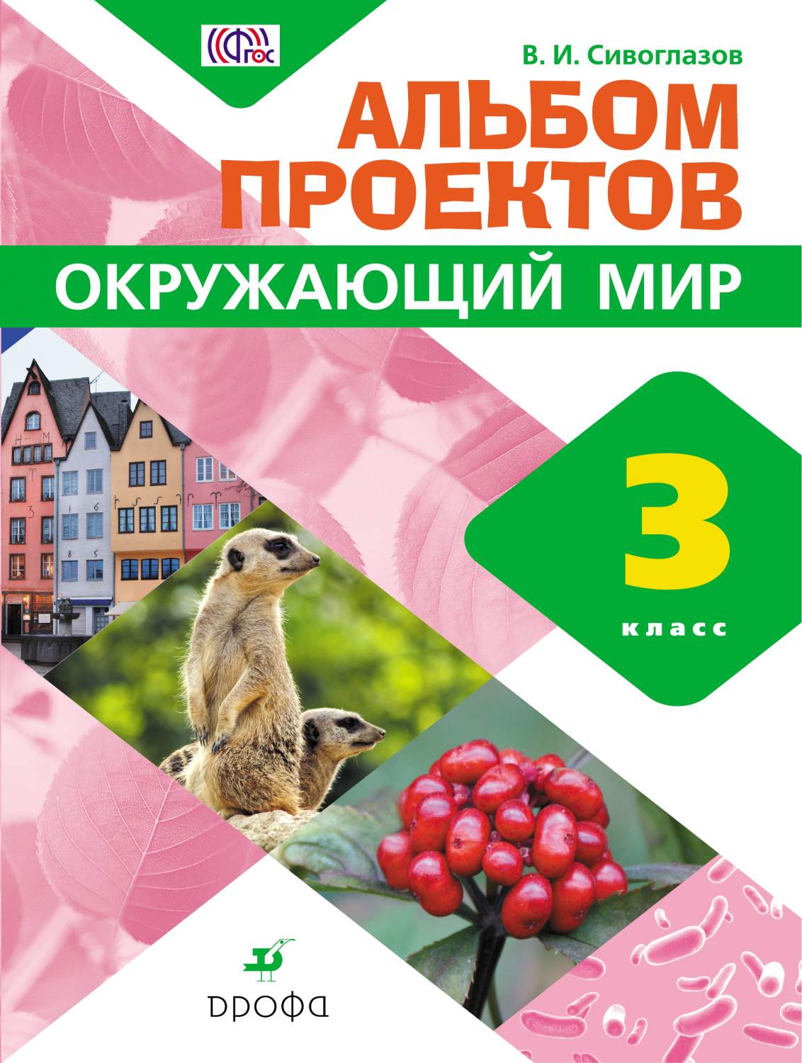 Окружающий Мир. 3 класс Альбом проектов – купить в Москве, цены в  интернет-магазинах на Мегамаркет