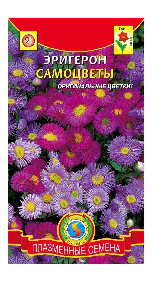 Семена многолетних цветов. Цв.эригерон Самоцветы. Семена цветов многолетников эригерон. Цветы эригерон сокровища Агры (0,05г). Эригерон семена.