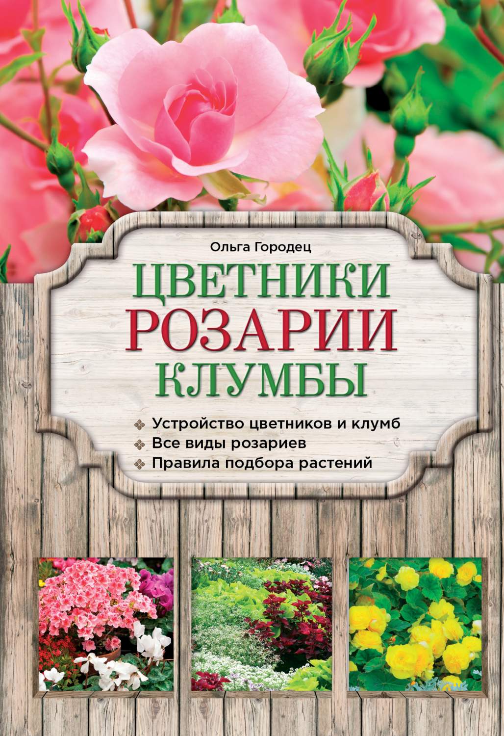 Строгий классический розарий. Только розы и больше ничего. 20 фото. | Карельские Дачники | Дзен