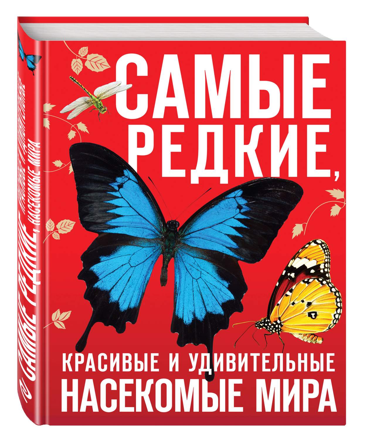 Самые Редкие, красивые и Удивительные насекомые Мира – купить в Москве,  цены в интернет-магазинах на Мегамаркет