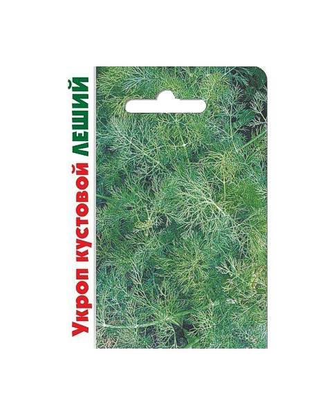 Укроп леший. Укроп лесногородский. Укроп кустовой. Укроп леший отзывы. Укроп леший отзывы.