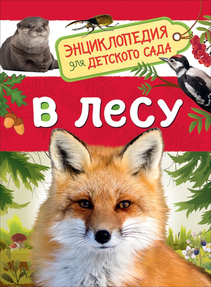 В лесу (Энциклопедия для Детского Сада) - отзывы покупателей на  маркетплейсе Мегамаркет | Артикул: 100024897933